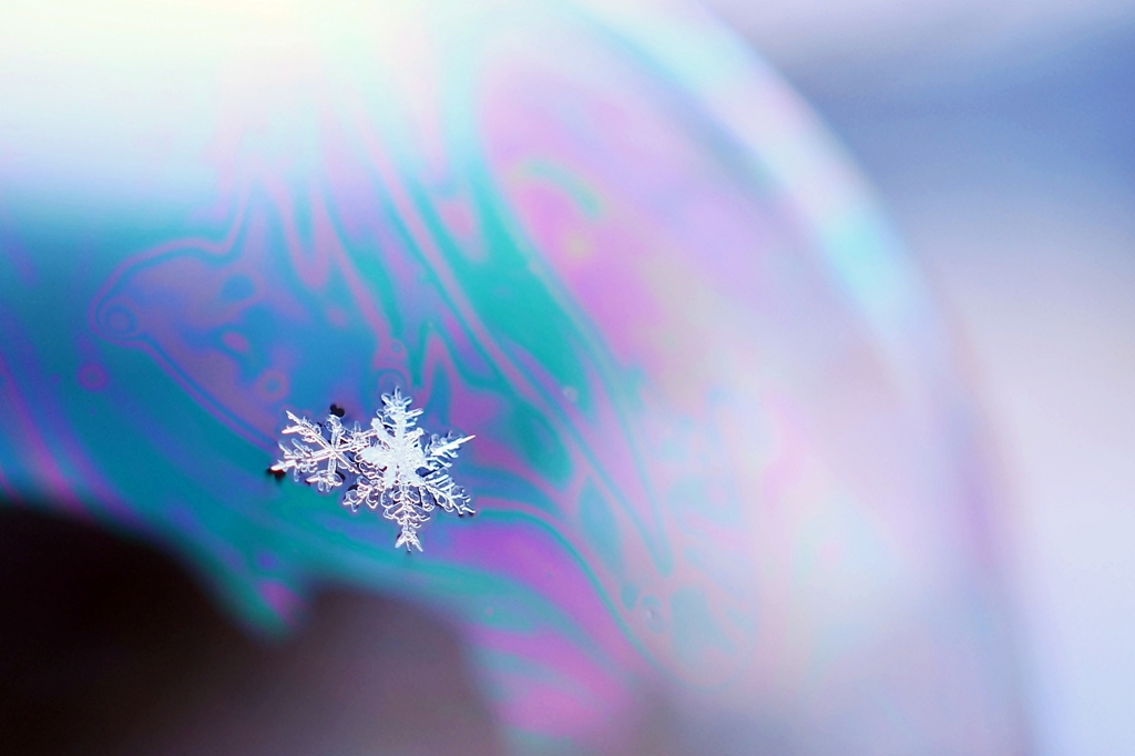 Snow crystal　-ⅳ-