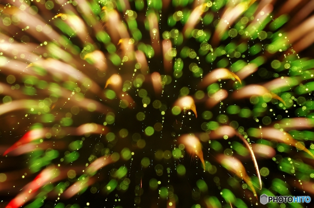 Fireworks (2015高瀬川納涼大花火大会4 )