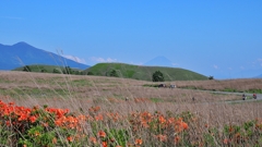 ぶらり霧ヶ峰 (b)