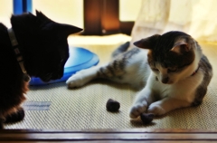 Felt ball