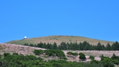 ぶらり霧ヶ峰(c)