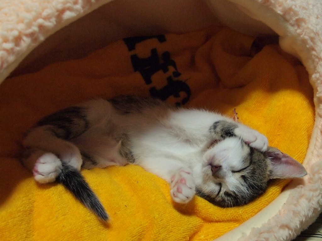 ZzzZzz