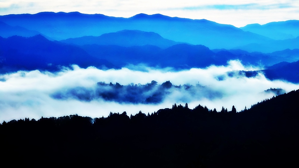 雲海