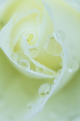 雫