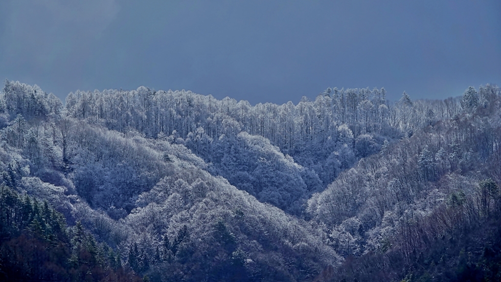 春の雪