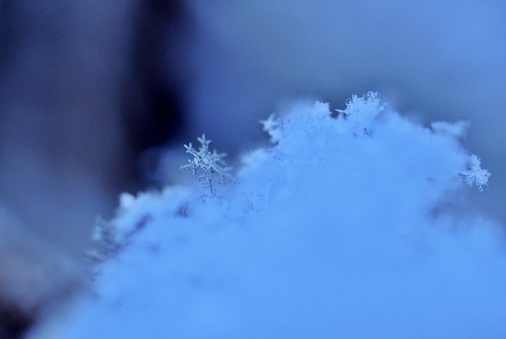 snow crystal