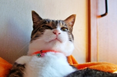 ぺろ〜ん（組み写真4/4）