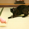 Play!