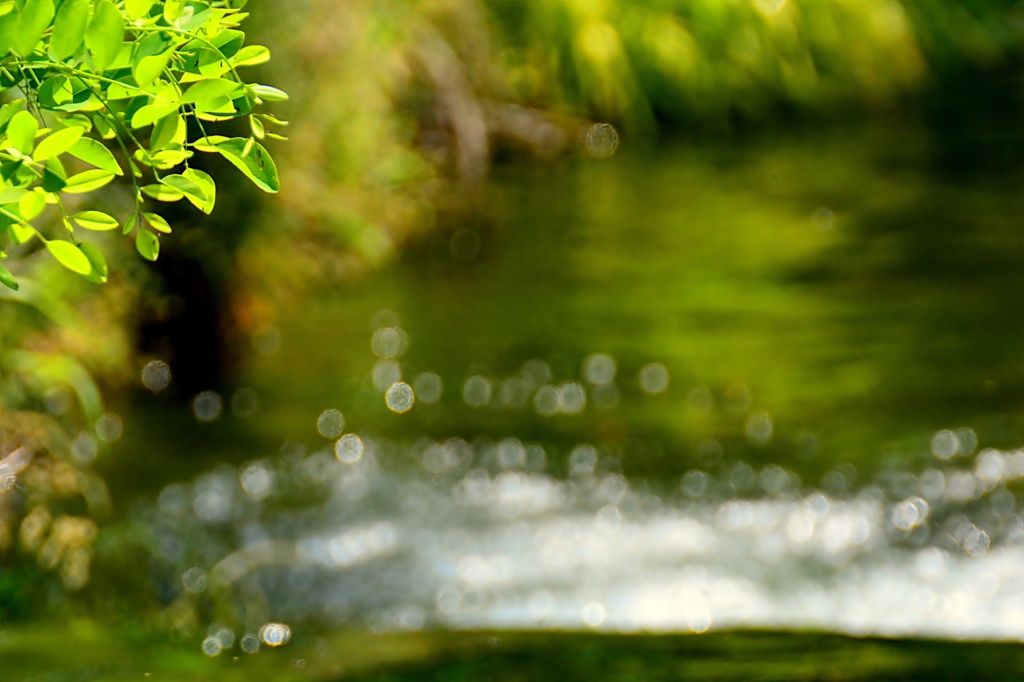 green & splash