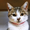 じッ