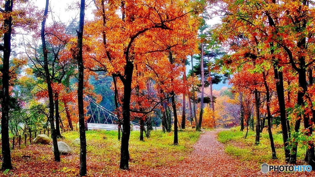 国営アルプスあづみの公園　秋*