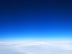 青×白