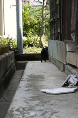 どこいくの？