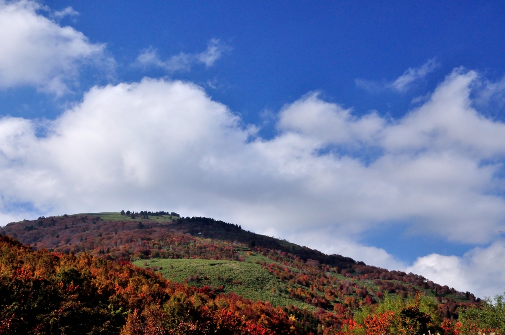 氷ノ山の紅葉