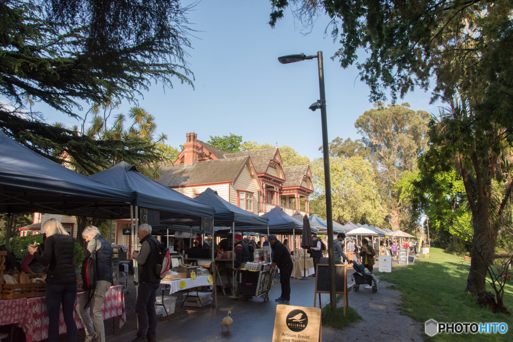 Riccarton Bush Saturday Market