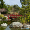 Miyazu Japanese Garden