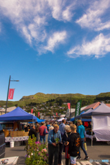 Lyttelton Sunday Market