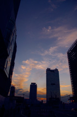 IMGP0393