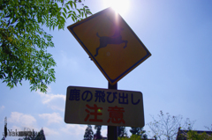 IMGP1497