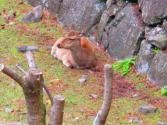 名古屋。