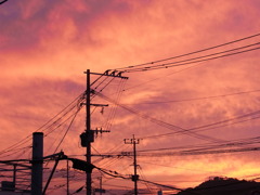 夕日。