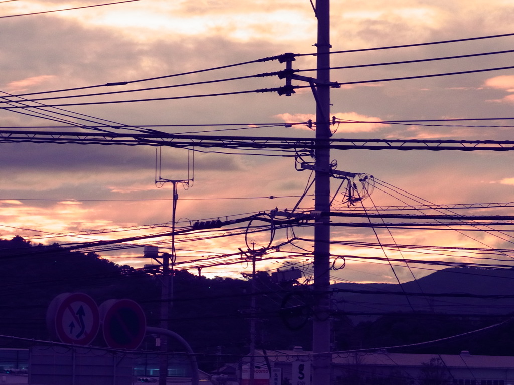 夕日と、、。