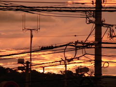 夕日