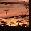 夕日