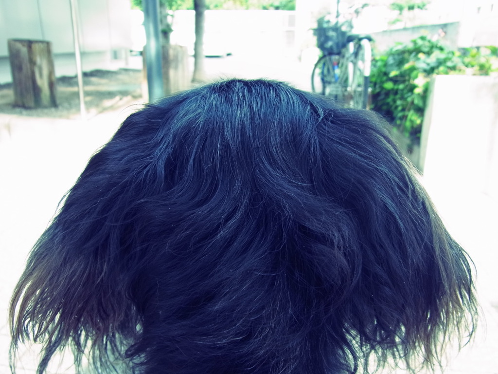 ワン後頭部２