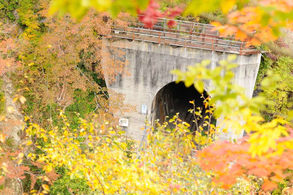 鳴子峡の秋 2015