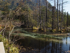 上高地の池