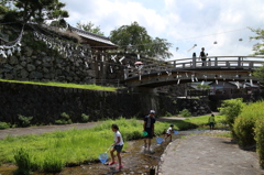 出石城址～夏の日の2014～