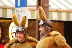 カンガルー