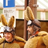 カンガルー