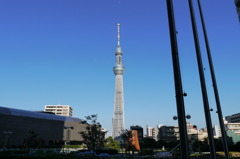 スカイツリー