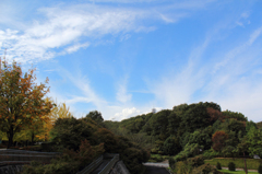 秋空