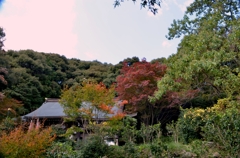 東明寺　秋色