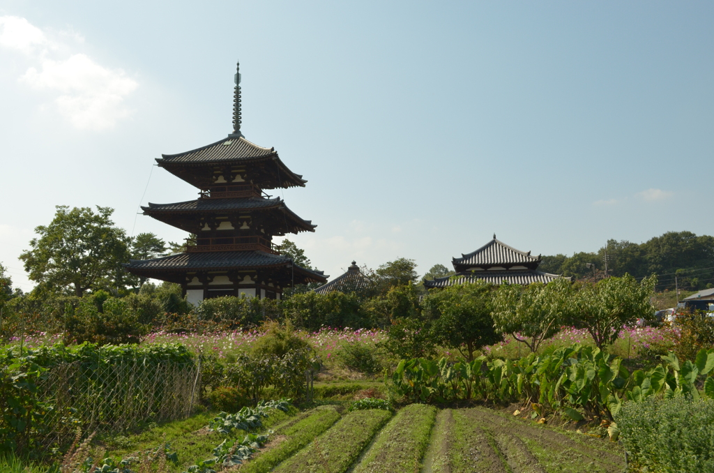 斑鳩、法起寺