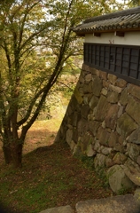 大和郡山城址 