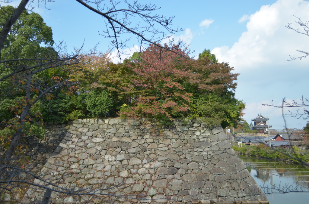 城壁の紅葉