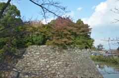 城壁の紅葉