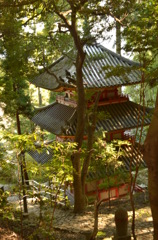松尾寺　三重の塔