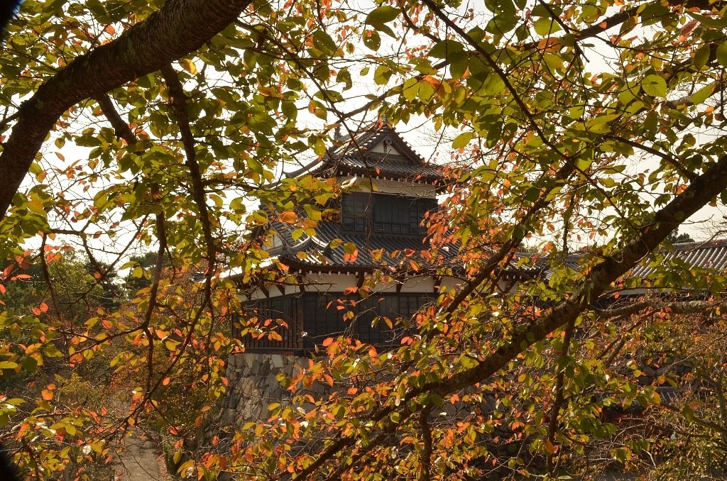 大和郡山城址 2