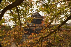 大和郡山城址 2