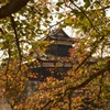 大和郡山城址 2