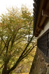 大和郡山城址 3