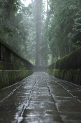 猫道
