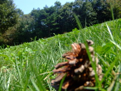 ひたち海浜公園にて