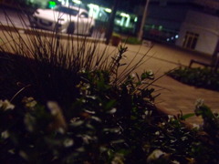 愛車　地元駅にて