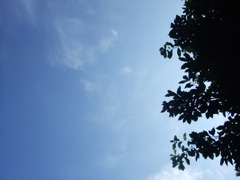 ひたち海浜公園にて